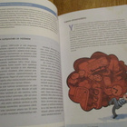 Esteille hyvästit! Opas autismikirjon sekä adhd-ja Tourette - pikkukuva 4