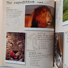 Steve Bloom : My Big Cats Journal - In Search of Lions, L... - pikkukuva 3