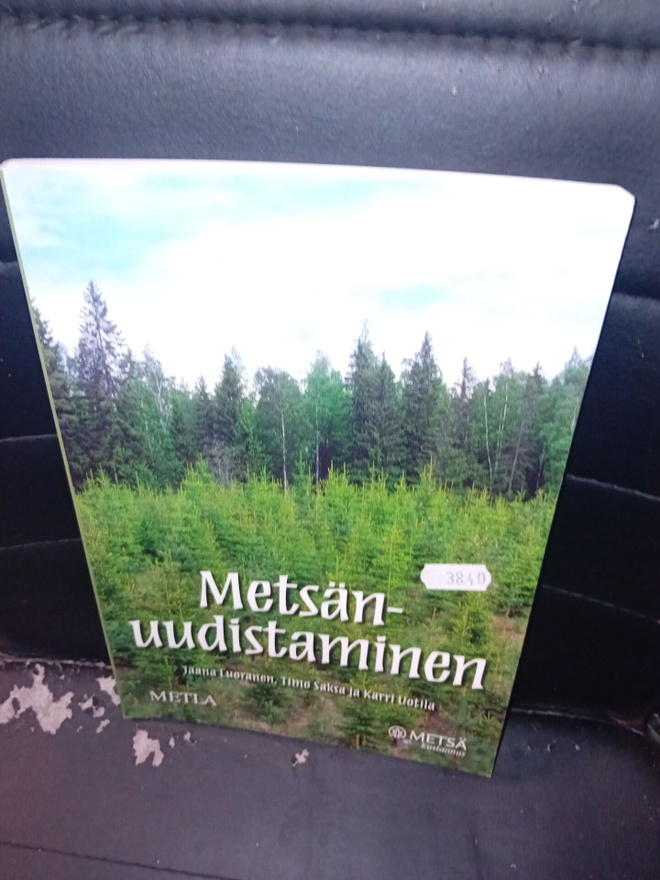 Luoranen : Metsänuudistaminen  ( SIS POSTIKULU ]