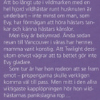 Angela Dorsey: Vildhästar i fara - pikkukuva 2