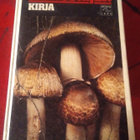 SIENESTÄJÄN KIRJA: MAURI KORHONEN - pikkukuva 1