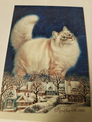 Kissa kortti, kulkematon.