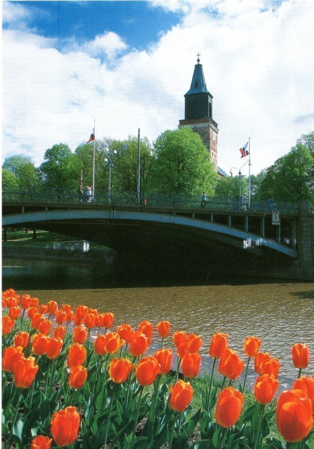 Postikortti: TURUN TUOMIOKIRKKO (kulkenut 2003)