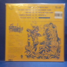 STEEL MAMMOTH - RADIATION FUNERAL M-/M- FIN 2011 LP - pikkukuva 2