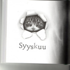 °°KISSOJEN NIMIPÄIVÄKIRJA°° /Minna Saarelma (UUSI) - pikkukuva 3