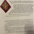 Suojeluskunta Pioneeriteknikon hihamerkki - pikkukuva 3