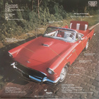 The Fabulous Thunderbirds - T-Bird Rhythm *Jimmie Vaughan* - pikkukuva 2