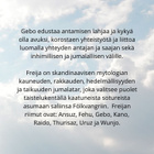 Gebo ~ Riimujen viisaus -riipus - pikkukuva 3