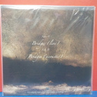 WARNING - BRIDGES M-/M- GER 2010 12" SINGLE LP - pikkukuva 2