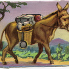 ALE - M.P. 890 - Eläinnelkku - Aasi - 1950-luvulta!!! - pikkukuva 1