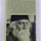 Rabindranath Tagore : Puutarhuri - Suorasanaisia runoelmia - pikkukuva 2