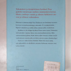 Jacquelyn Mitchard : Onnen mahdollisuus - pikkukuva 2