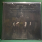 BIRDS OF PREY - THE HELLPREACHER UUSI "SS" U.S 2009 LP - pikkukuva 2