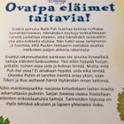 Walt Disney : Nalle Puh - Ovatpa eläimet taitavia - pikkukuva 5