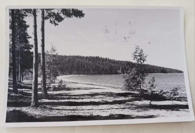 Taipalsaari, Suur-Saimaan lomakylä, Lomaliitto, p. 1964