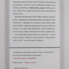Gianni Celati : Kohti virran suuta - pikkukuva 2