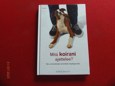 Gwen Bailey: Mitä koirani ajattelee