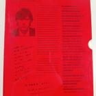 Peter Hall : Sagmeister : made you look - pikkukuva 2