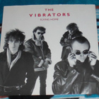 VIBRATORS ~ Flying Home ~ 12" EP - pikkukuva 1