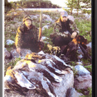 DVD: HANHIA MERELTÄ - pikkukuva 1