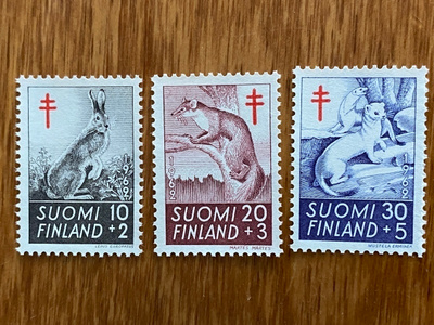 TUB 1962 SARJA**