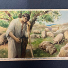 Paimen ja possut kedolla - pikkukuva 1