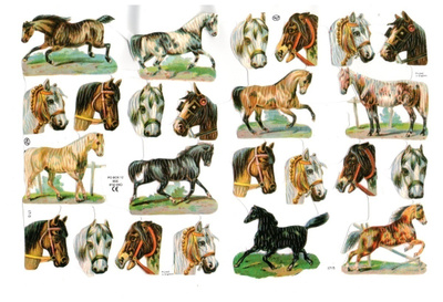 KIILTOKUVA °°HEVOSET°° /MLP1715