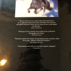 Vavra: Horses Of The Sun. 1995. - pikkukuva 2