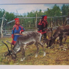 KULKENUT SUOMEN LAPPI NAPAPIIRI PYÖRÖLEIMA 1984 ? - pikkukuva 1