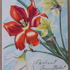 Inga Fagerholm vanha kukkakortti 108/10, v. 1947 - pikkukuva 2