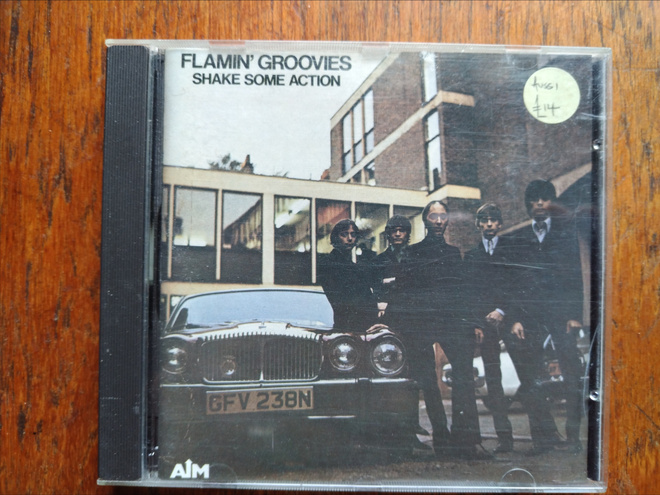 Flamin' Groovies: Shake Some Action