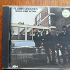 Flamin' Groovies: Shake Some Action - pikkukuva 1