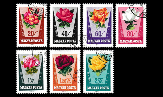 Unkari 1856-62 o Ruusuja (1962)