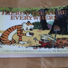 Bill Watterson : There's treasure everywhere ( k.po ) - pikkukuva 1