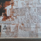 VHS: Alanis Morissette - Jagged Little Pill, Live (1997) - pikkukuva 3