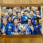 Leijonat 2011 maailmanmestarit ja Jofa tarra - pikkukuva 1