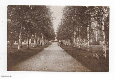 HEINOLA: Puisto (mv)