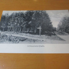 Kitee Lehtikuusimetsä (o) - 1918 - pikkukuva 1