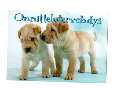 °"KOIRAT...Onnittelutervehdys"° -KORTTI / Paletti (Willys)