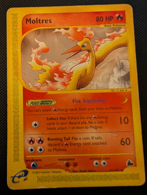 Moltres Pokemon Skyridge