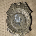 Vintage School Safety Patrol -merkki - pikkukuva 2