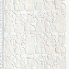 * PZB 1181, orkesteri-pojat-arkki * - pikkukuva 2
