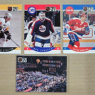 1990-91 ja 1991-92 Pro Set & 1991-92 Pro Set Platinum (NHL) - pikkukuva 1