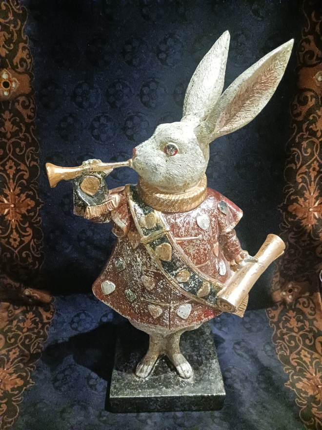 Alice in Wonderland kani