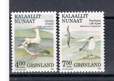 Grönlanti 1990 - Lintuja (2) ++