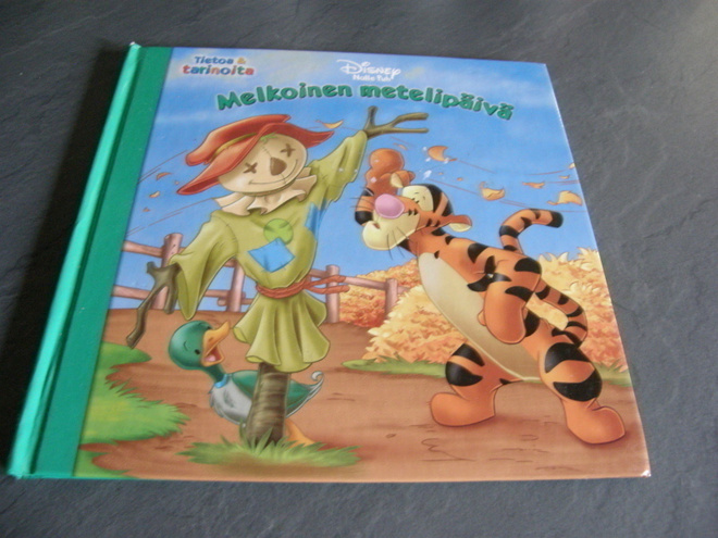 Disney Nalle Puh Melkoinen metelipäivä