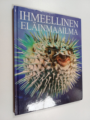 Jacqui Bailey : Ihmeellinen eläinmaailma