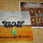 COMPANY OF FRIENDS - Island Of Love - LP 1978 pop rock MINT- - pikkukuva 2