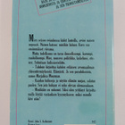 Marjaliisa Muurman : Kuvan kääntöpuoli - pikkukuva 2