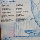 Rauli Badding Somerjoki : Siniset hetket. 2LP - pikkukuva 2
